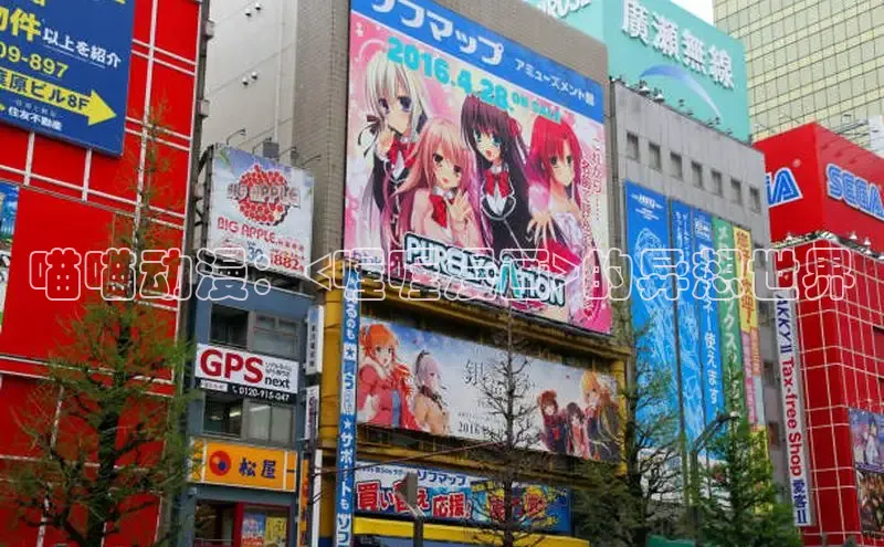 海棠漫画在线阅读免费阅读